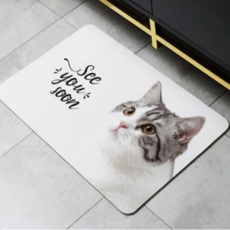 new 2023 soft mat diatom ooze water absorption drier mat toilet door mat diatomite non-slip MATS bathroom sanitary toilets