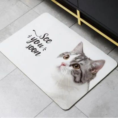 new 2023 soft mat diatom ooze water absorption drier mat toilet door mat diatomite non-slip MATS bathroom sanitary toilets