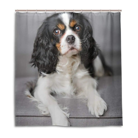 Cavalier King Charles Spaniel Dogs Shower Curtain Waterproof Polyester Fabric Bathroom Shower Curtains Bathroom Decor with Hooks